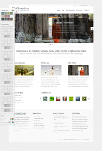 Chameleon Theme Demo